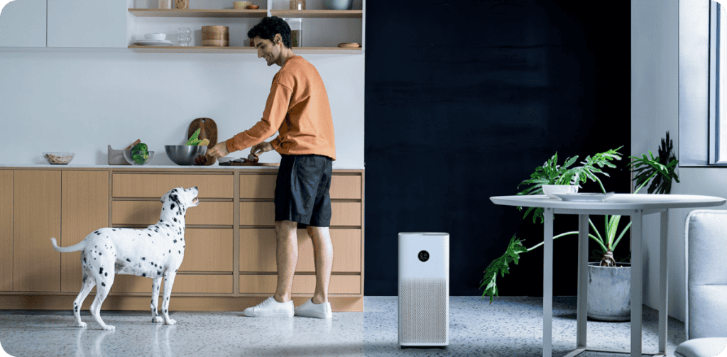 Смарт решенията на Xiaomi за есента – чисти подове, свеж въздух и уют у дома с интелигентни уреди, които пестят време и усилия.