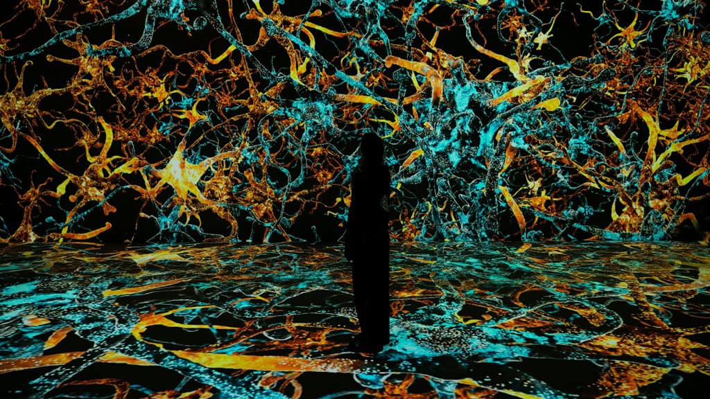VIDENIE представя Conditions of Reality – имерсивна програма в София с NOHLAB, MAOTIK и български артисти, посветена на реалността като процес.